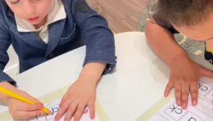Adult-accompanied Early Learning Classes